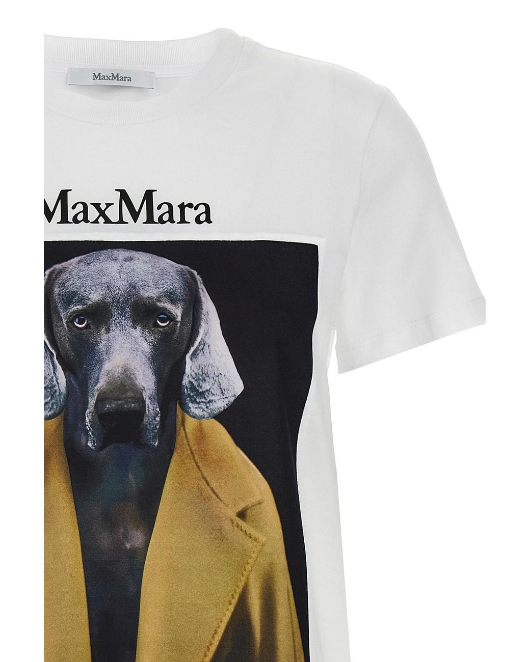 Max Mara White Cipria Graphic Printed Crewneck T-Shirt