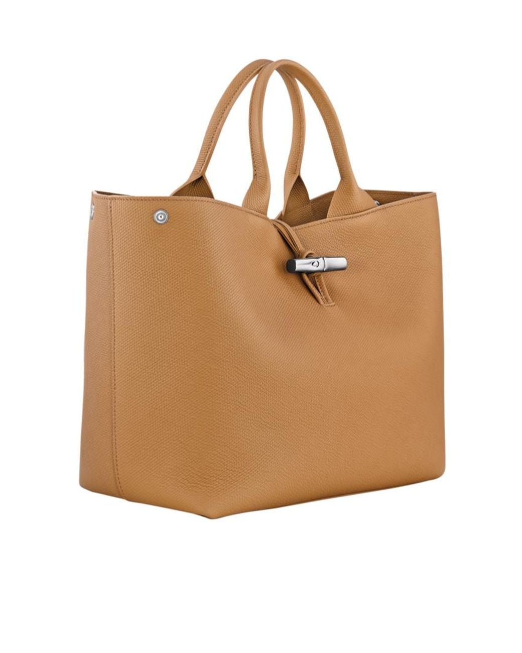 Longchamp Brown Le Roseau L