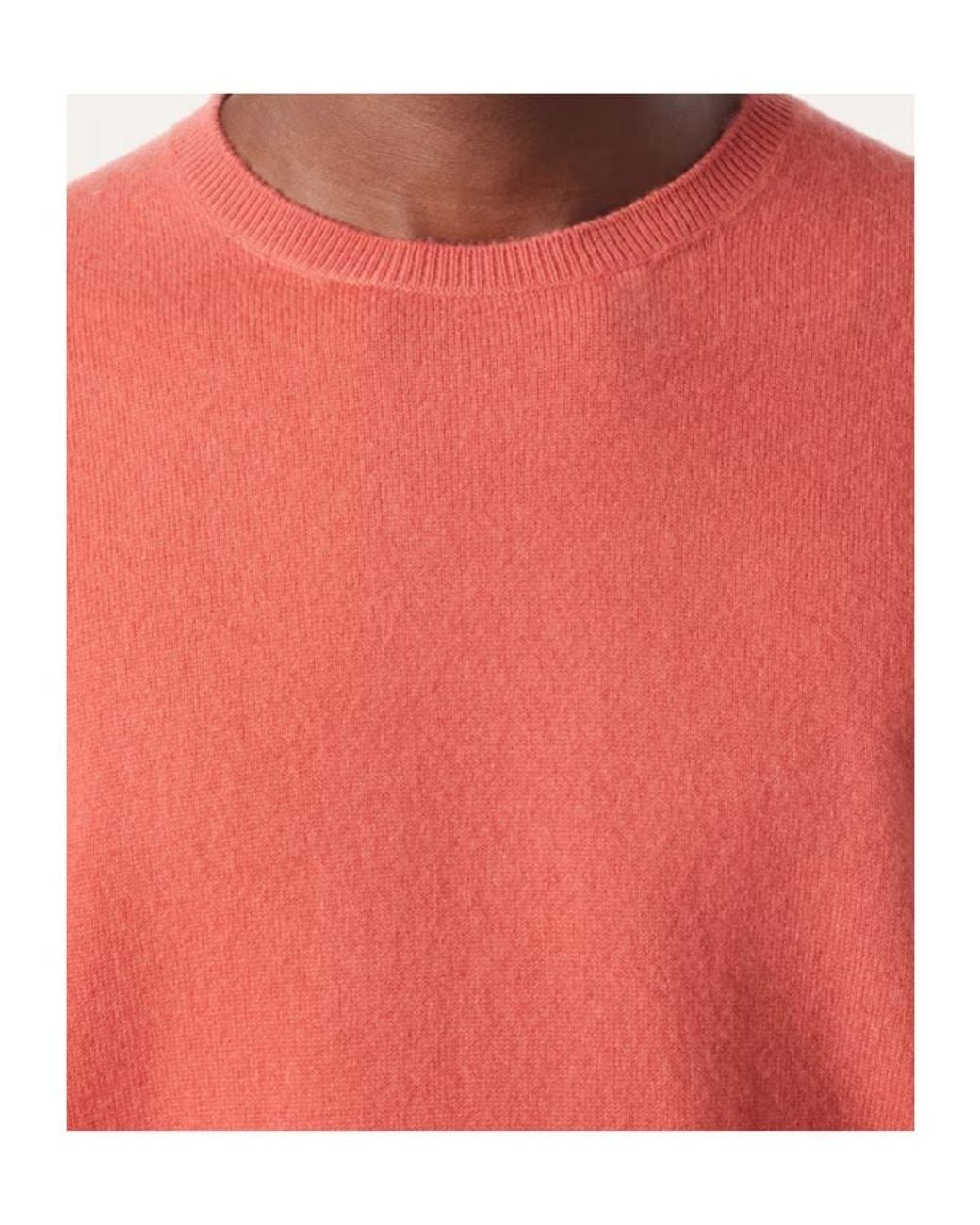 Loro Piana Pink Sergio Crewneck for men