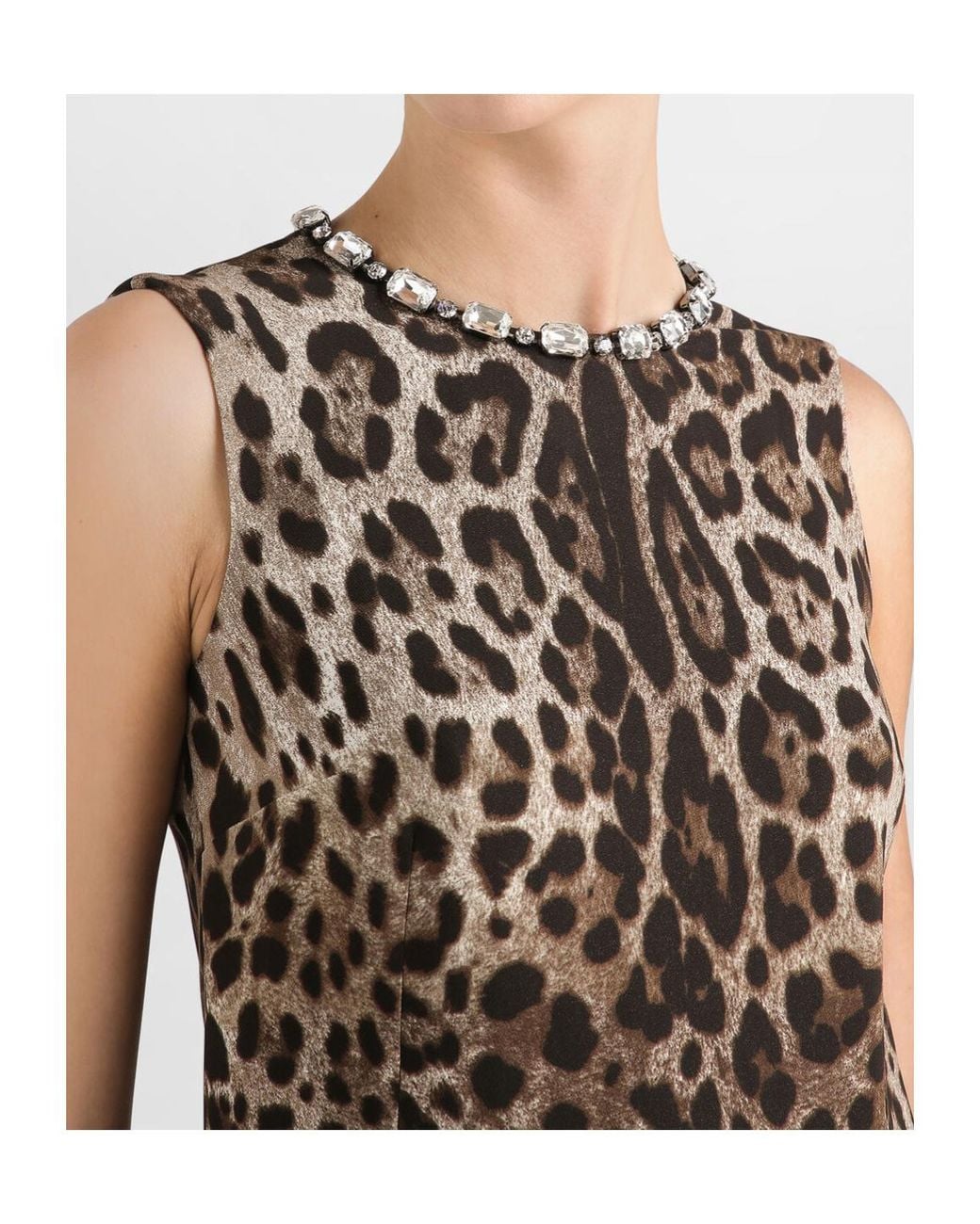 Dolce & Gabbana Brown Embellished Leopard Print Mini Dress