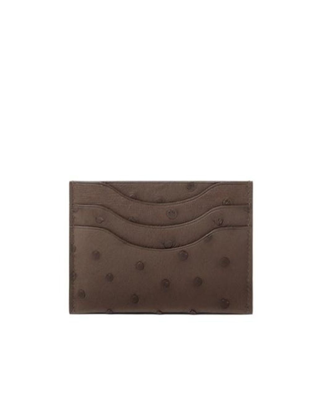 Loro Piana Brown Extra Cardholder for men