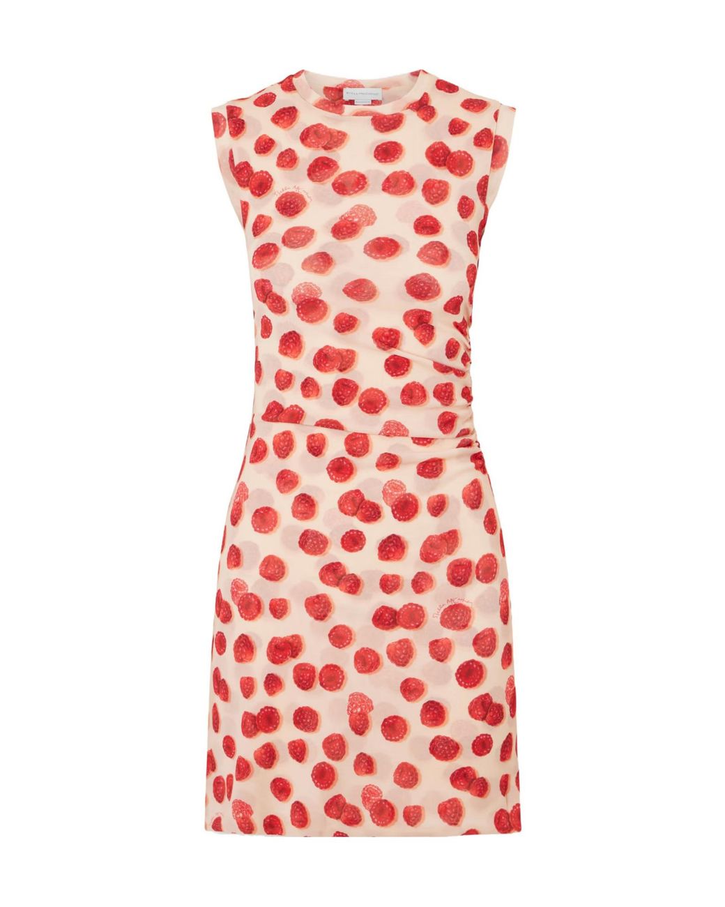 Stella McCartney Gathered Printed Mesh Mini Dress