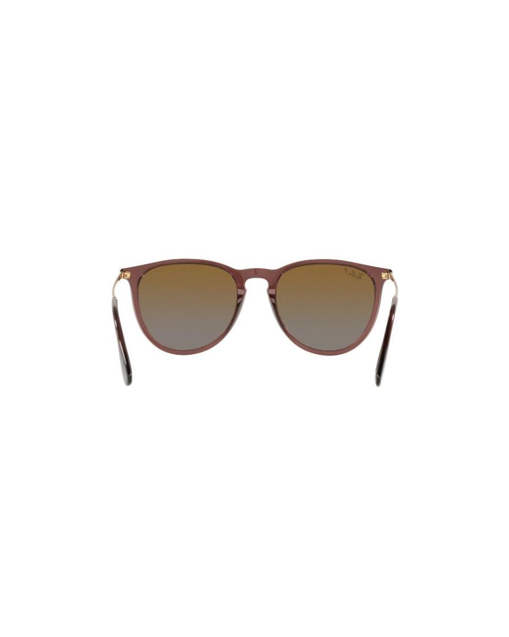 Ray-Ban Multicolor Erika Classic Phantos Frame Sunglasses