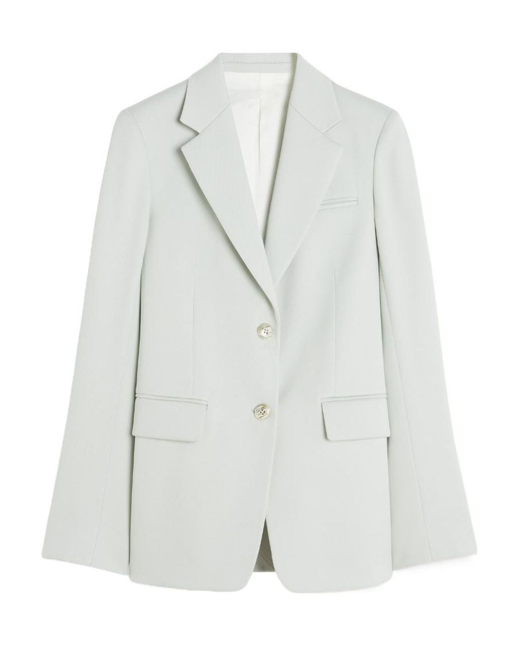 Lanvin Gray Single-Breasted Long-Sleeved Blazer