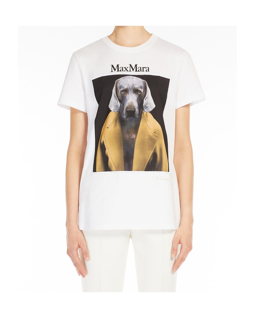 Max Mara White Cipria Graphic Printed Crewneck T-Shirt