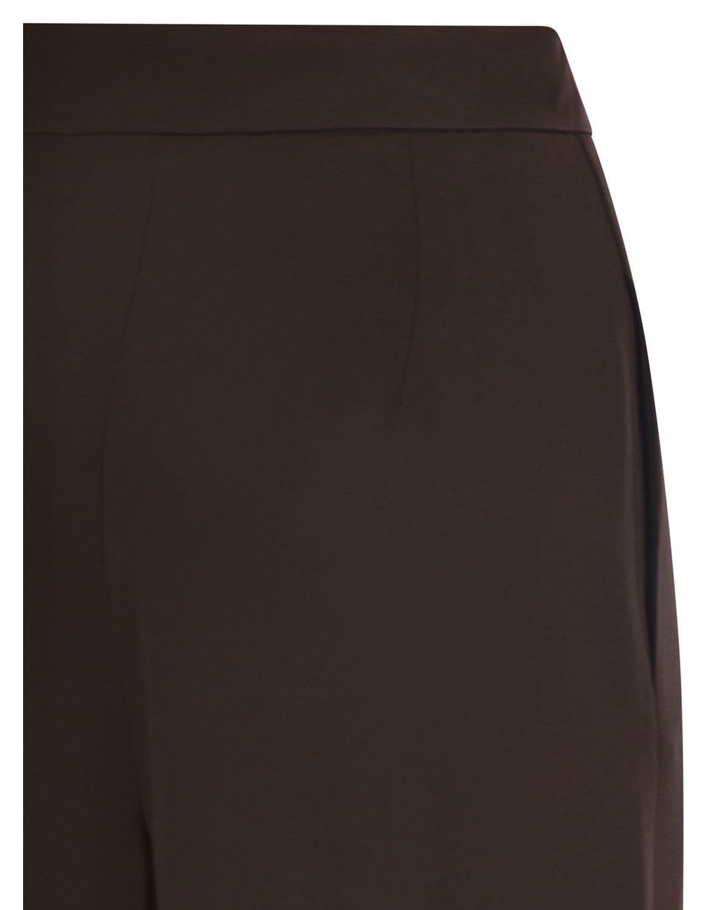 Max Mara Brown Studio Msealpaca Fluid Palazzo Trousers
