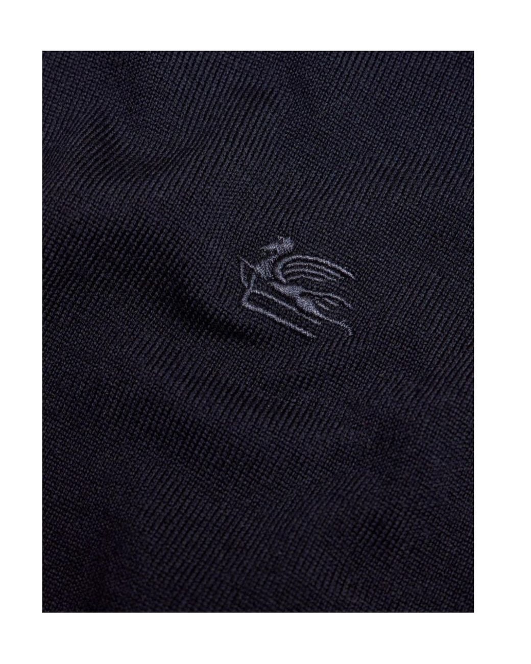 Etro Blue Pegaso Embroidered Turtleneck Jumper for men