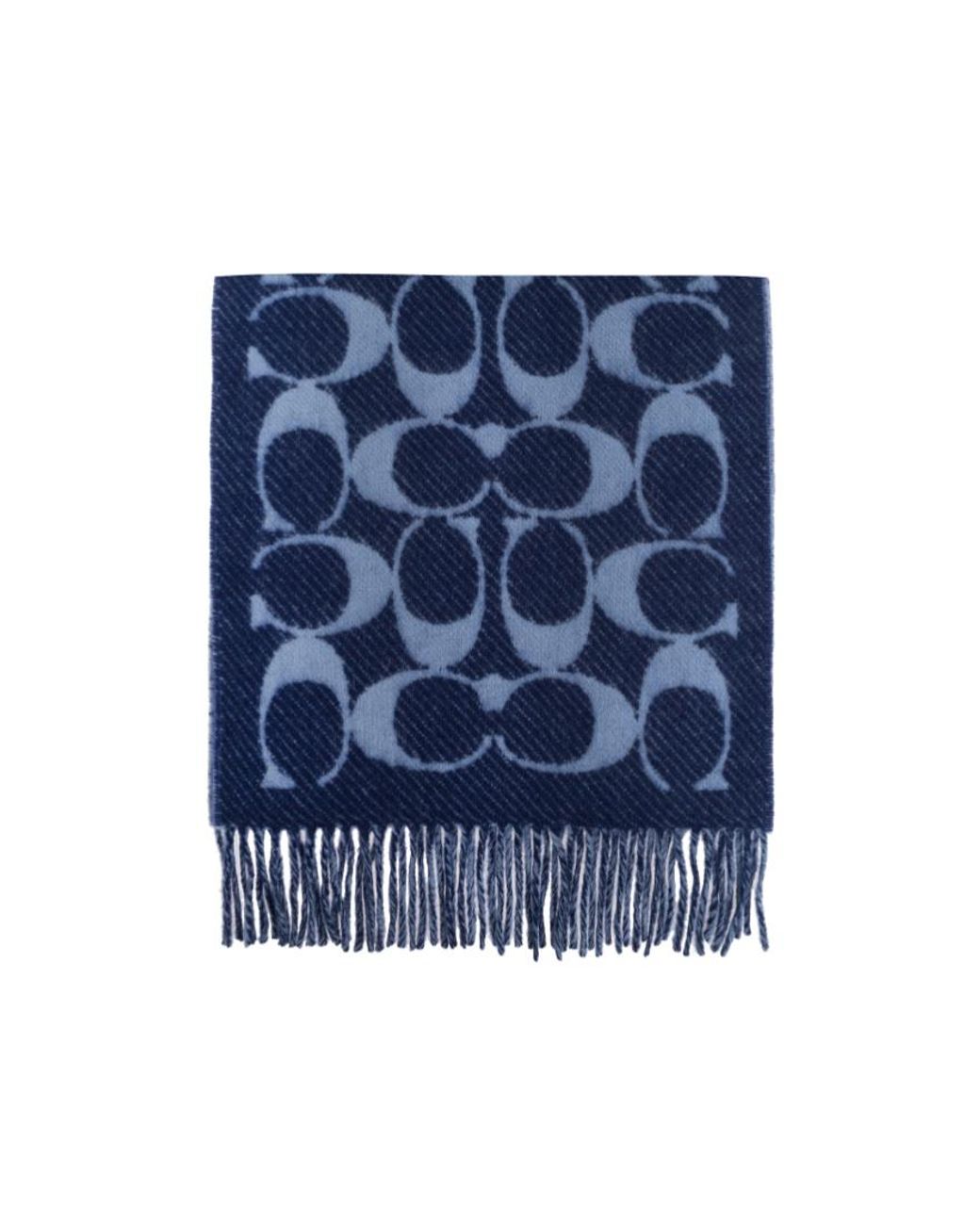 COACH Blue Logo Fringed Scarf for men