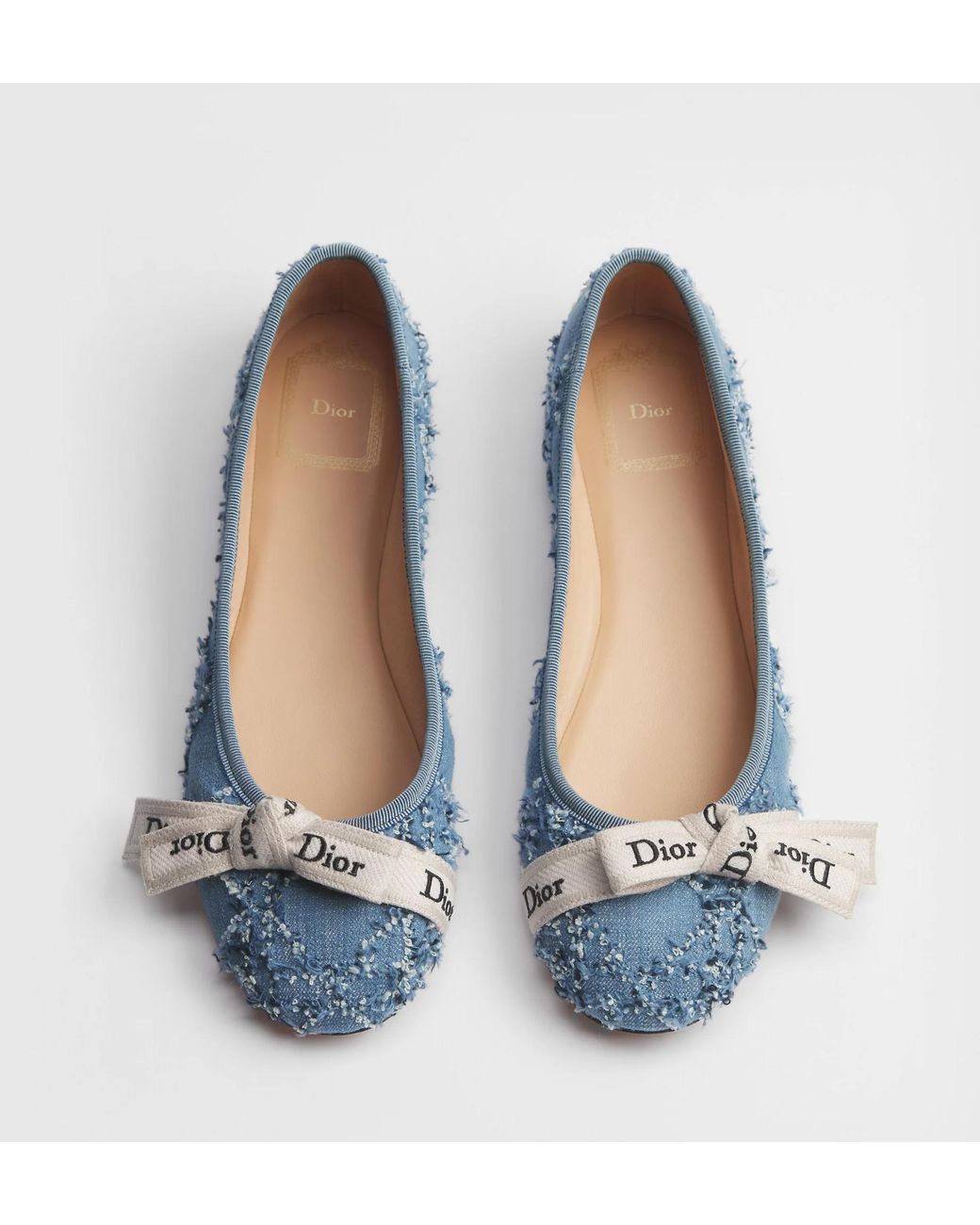 Dior Blue J'A Ballet Flat