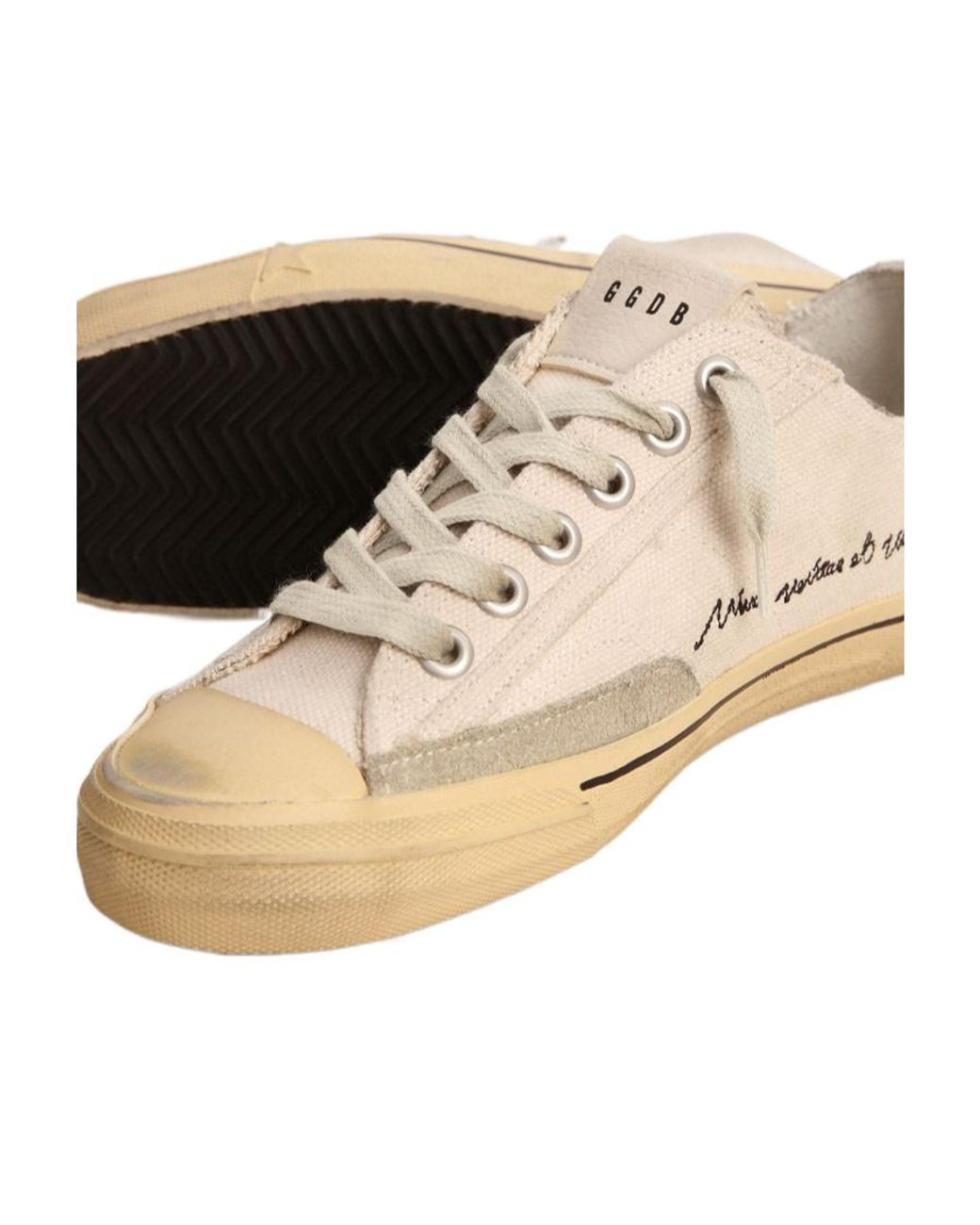 Golden Goose Deluxe Brand Multicolor V-Star Ltd Low-Top Sneakers for men