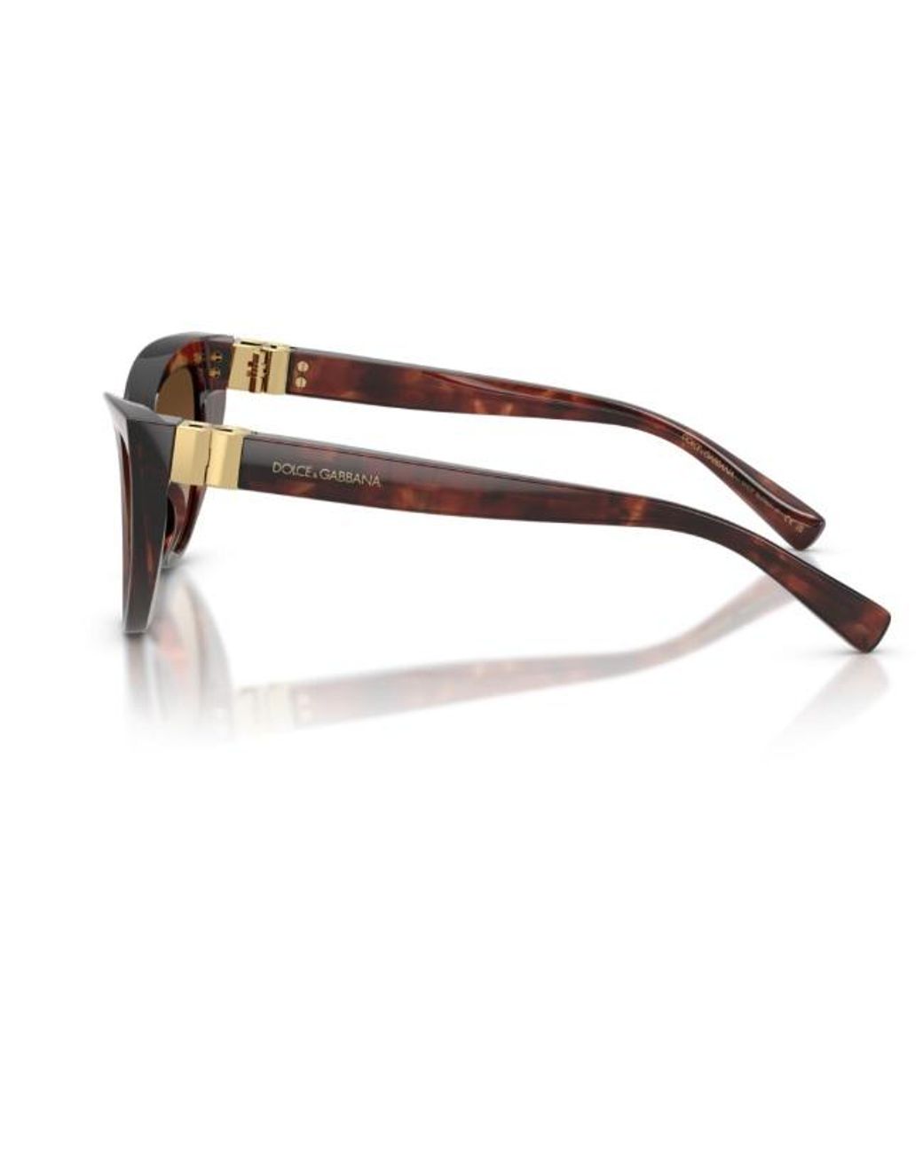 Dolce & Gabbana Multicolor Full Frame Sunglasses