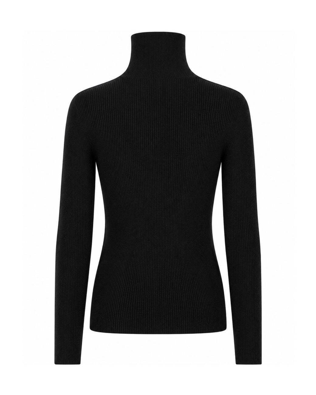 P.A.R.O.S.H. Black Turtleneck Knit Top