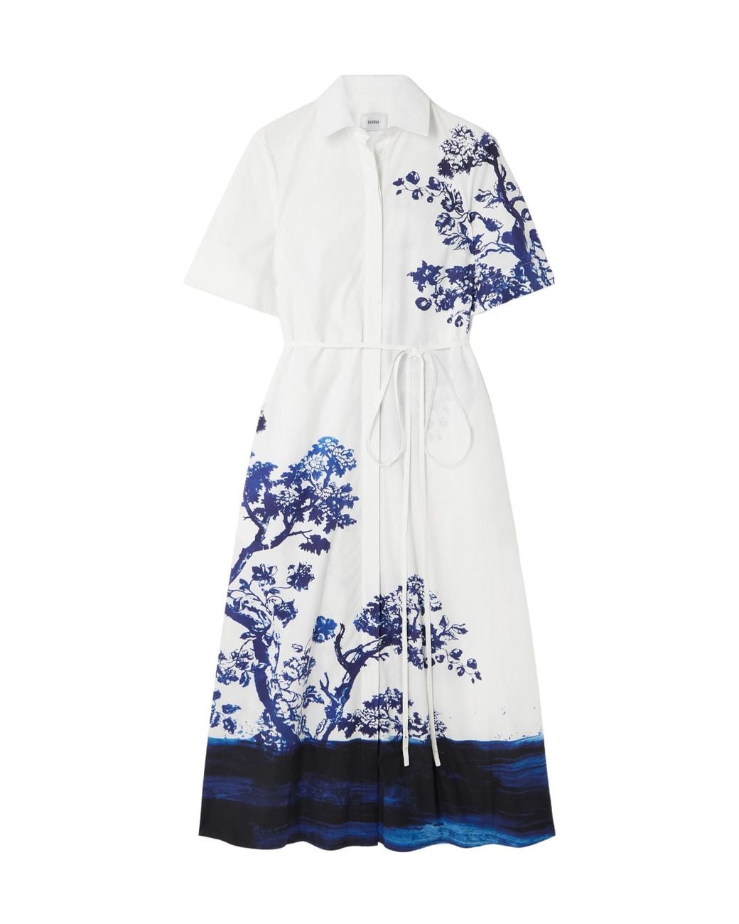 Erdem Blue Printed Shirt Dress