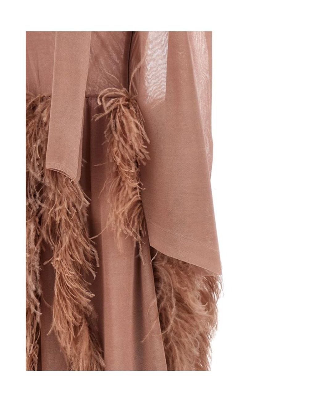 Antonino Valenti Brown Feather-Detail Silk Maxi Dress