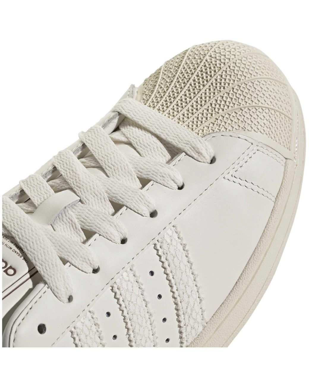 Adidas Originals White Simple And Classic Sports Shoes for men