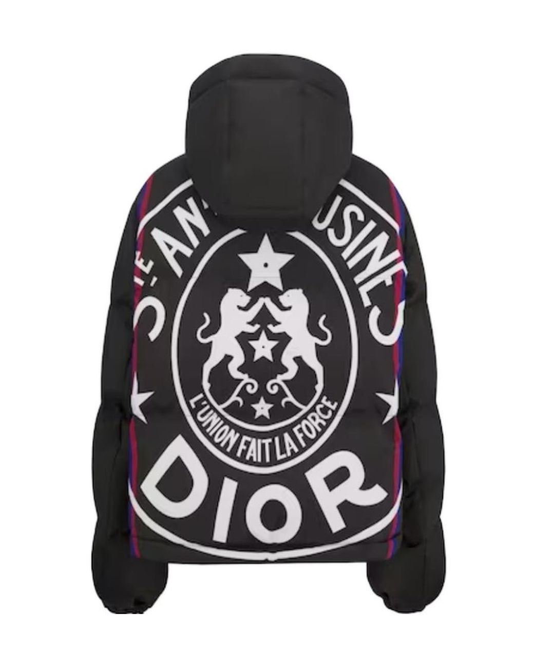 Dior Black Alps Hooded Down Jacket
