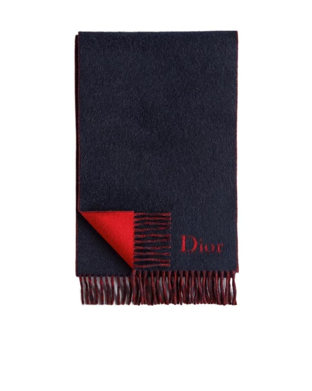 Dior Blue Double-Sided Scarf for men
