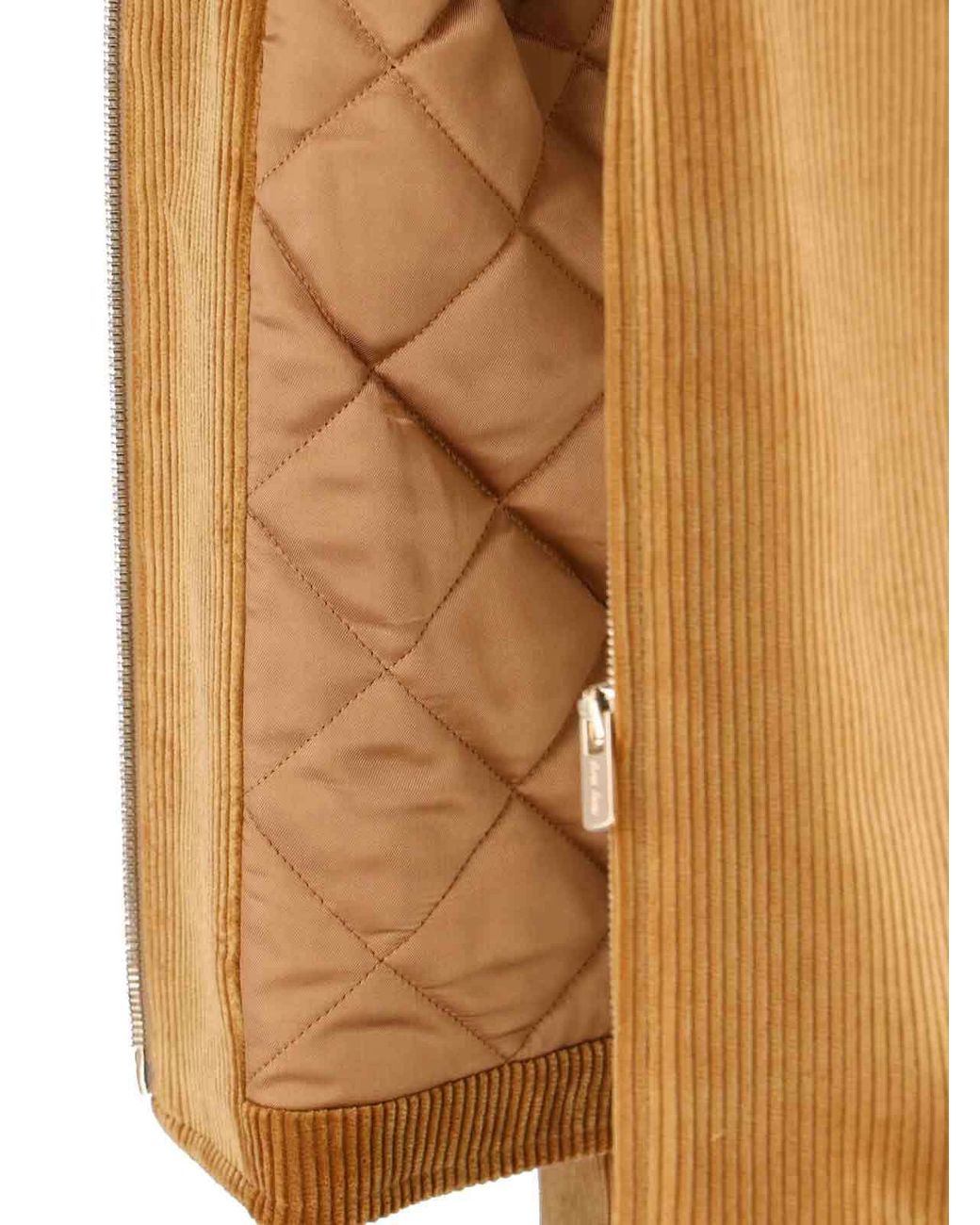 Miu Miu Brown Logo-Detailed Zipped Jacket