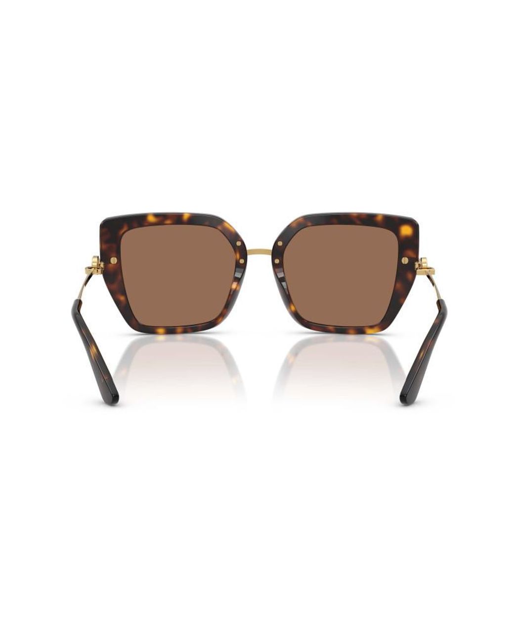 Dolce & Gabbana Brown Eyewear Butterfly Frame Sunglasses