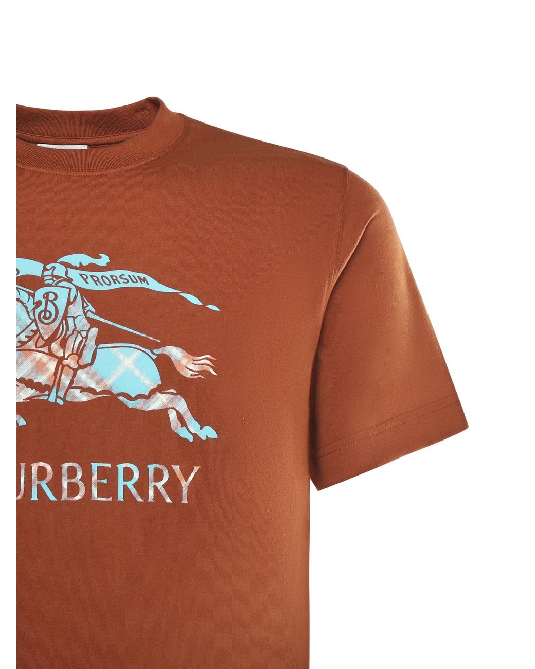 Burberry Orange Seth Ekd T-Shirt Ginger for men