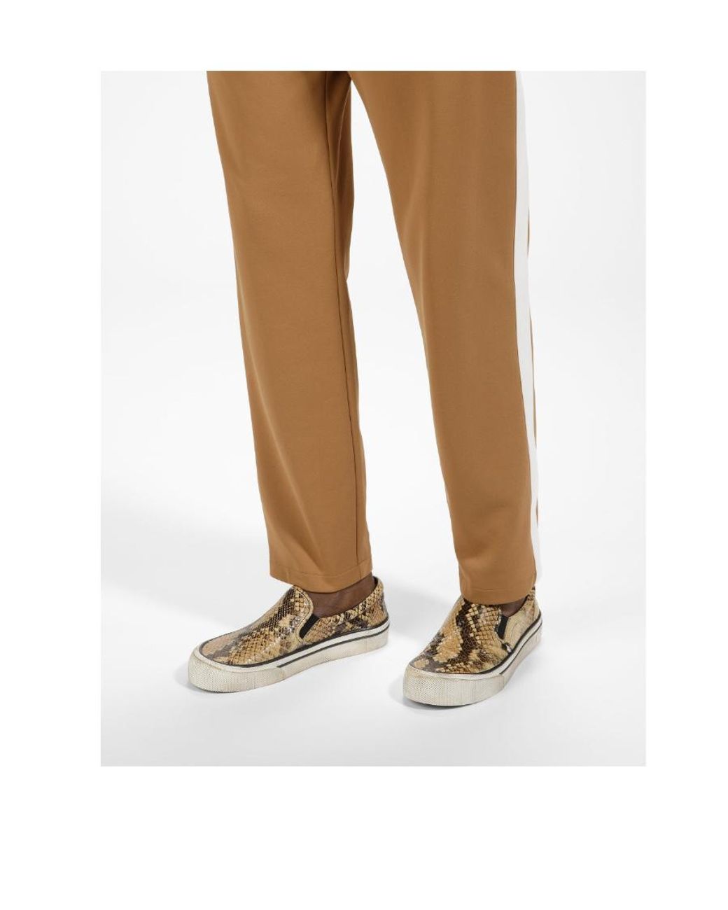 Bally Multicolor Santa Ana Python Printed Sports Shoes for men