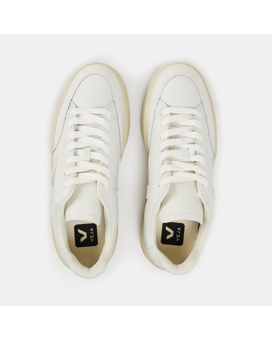 Veja White Simple Shoes