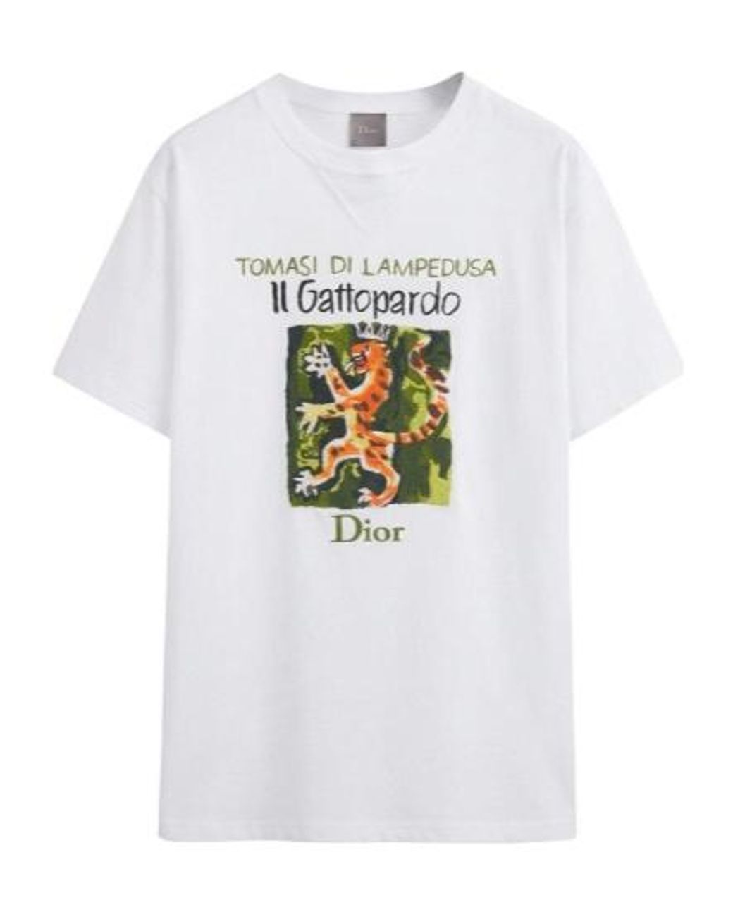 Dior White Graphic Printed Crewneck T-Shirt for men