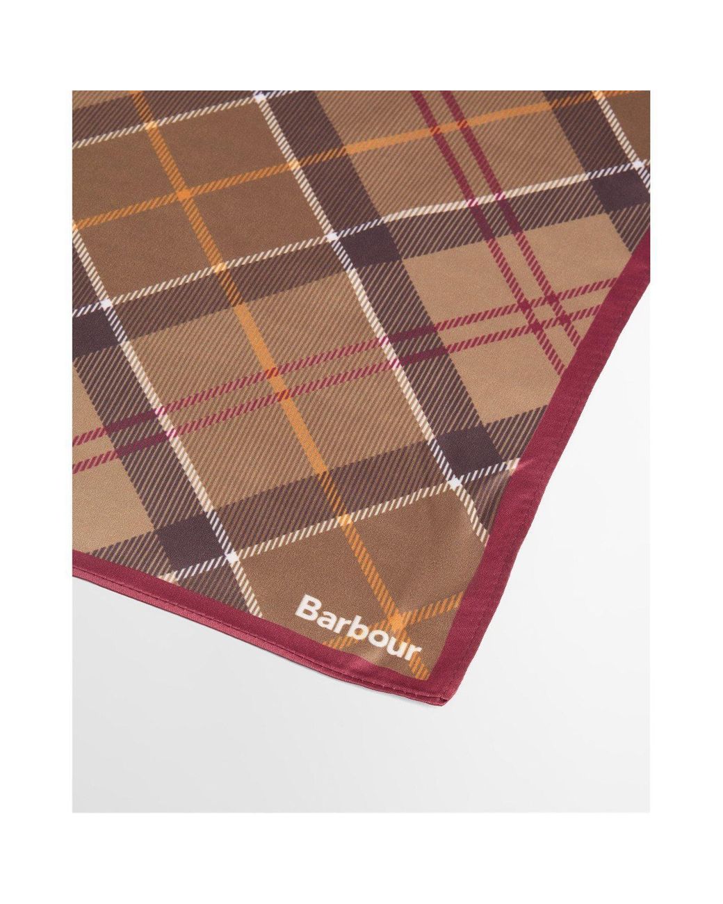 Barbour Green Casual Silk Scarf