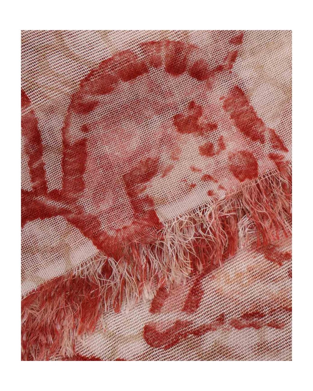 Faliero Sarti Pink Printed Scarf