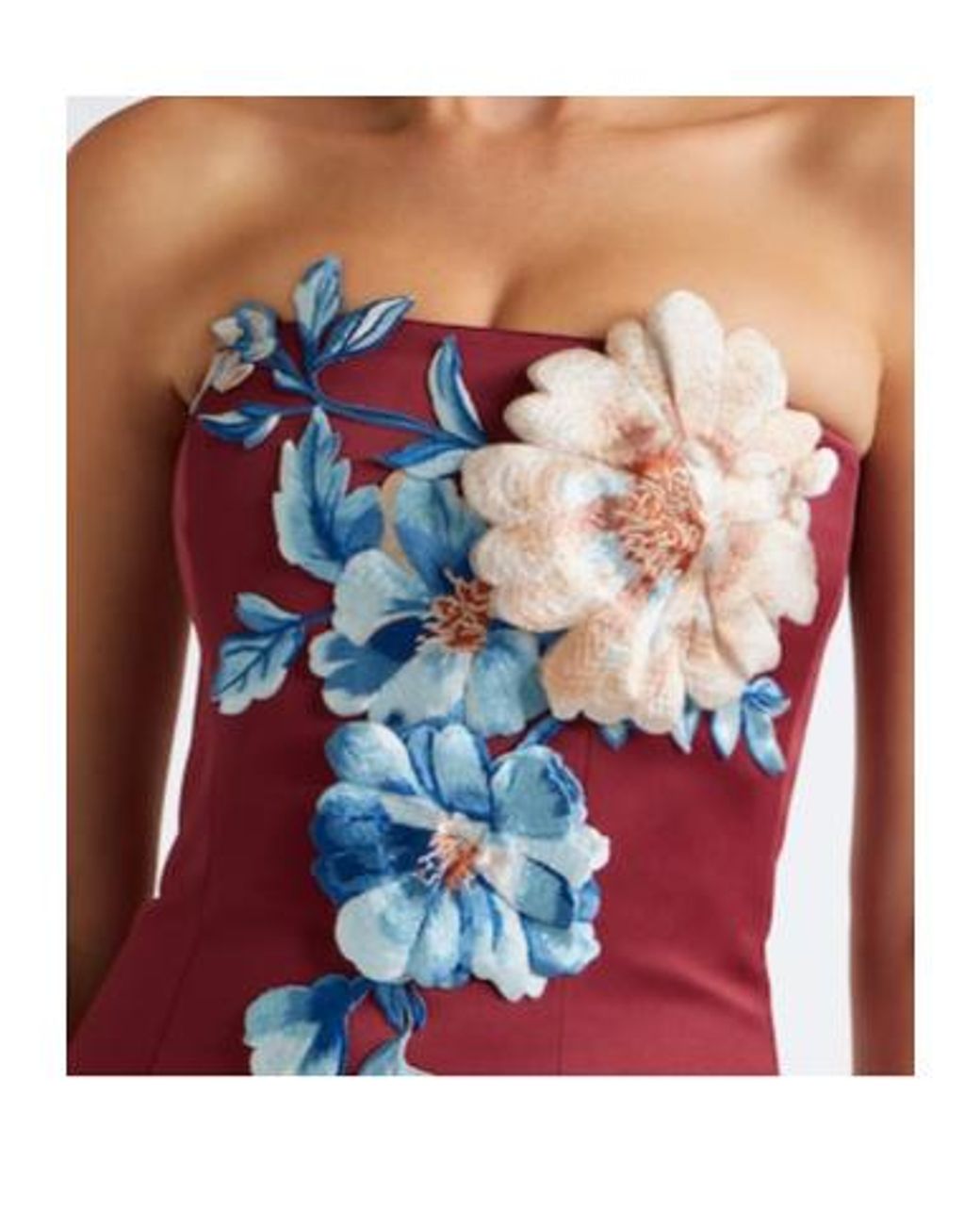 Leo Red Rayna Floral-Appliqué Bustier Dress