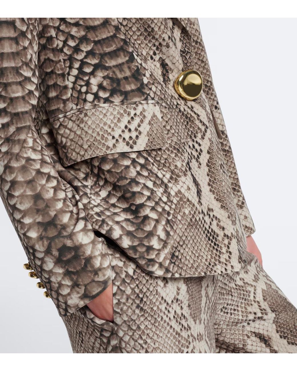 Joseph Brown Single-Breasted Blazer