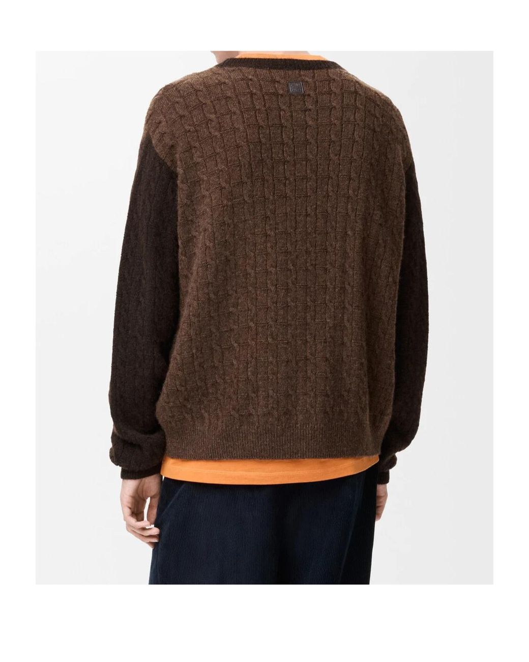 Loewe Brown Crew-Neck Sweater for men