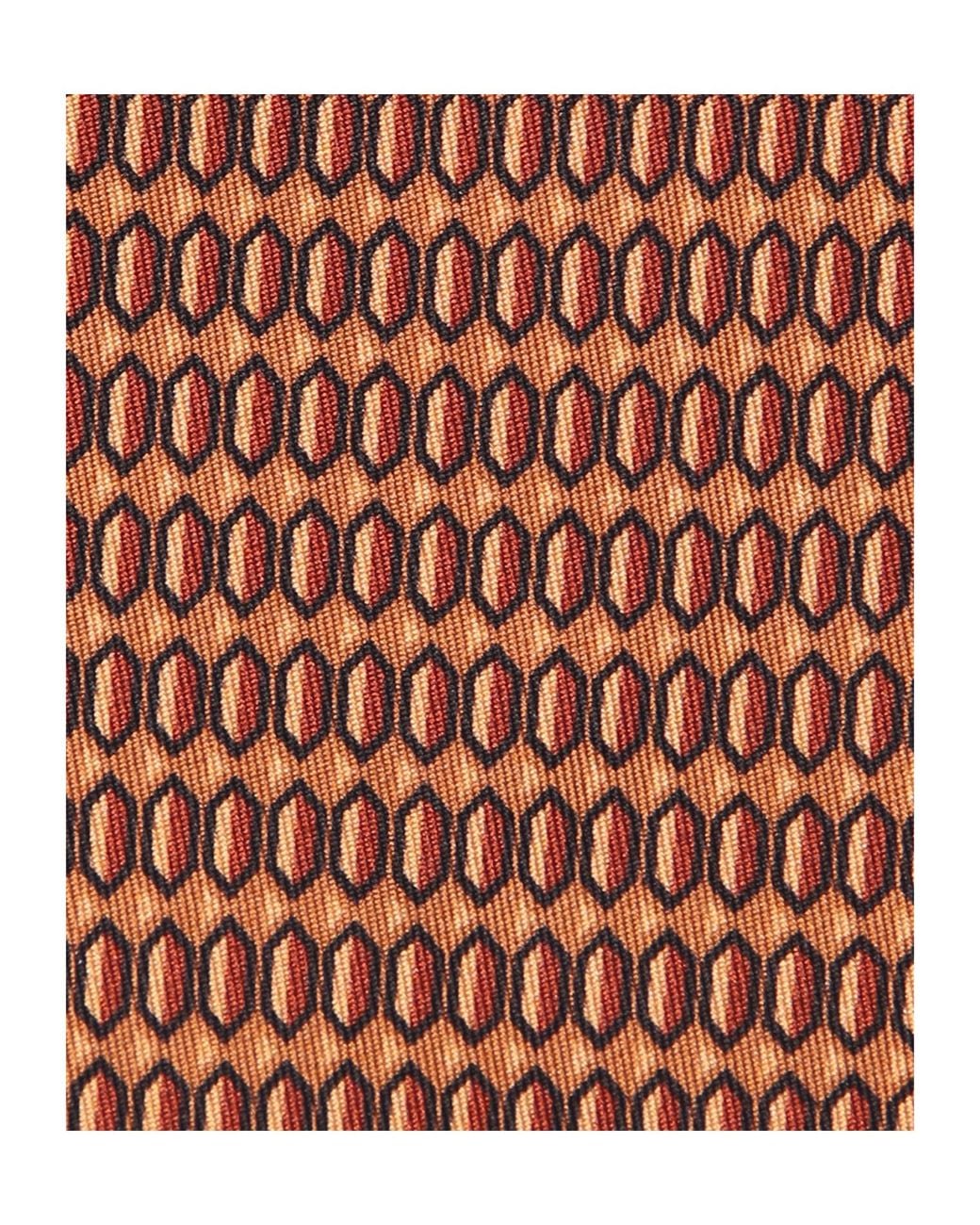 Lardini Brown Pointed-Tip Tie for men