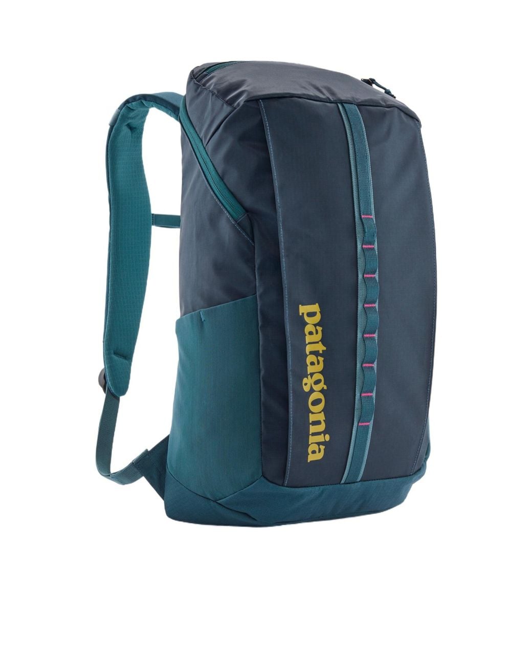 Patagonia Blue Hole 25L Backpack for men