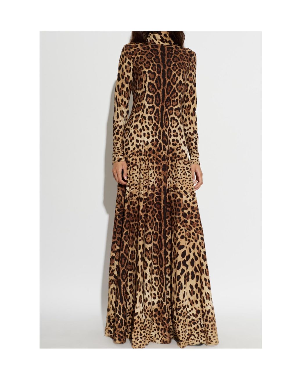 Dolce & Gabbana Brown Animal-Print Maxi Dress