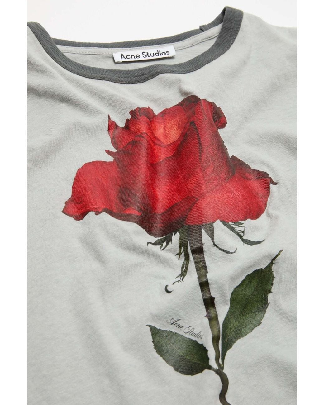 Acne Gray Rose-Print Ringer T-Shirt