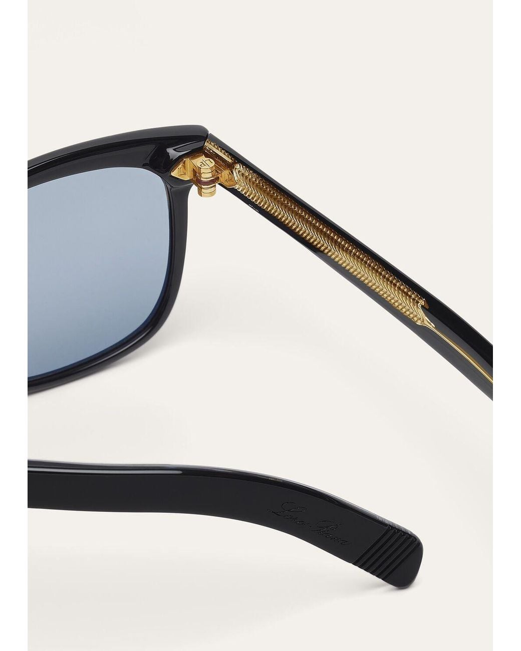 Loro Piana Multicolor Full-Rim Sunglasses