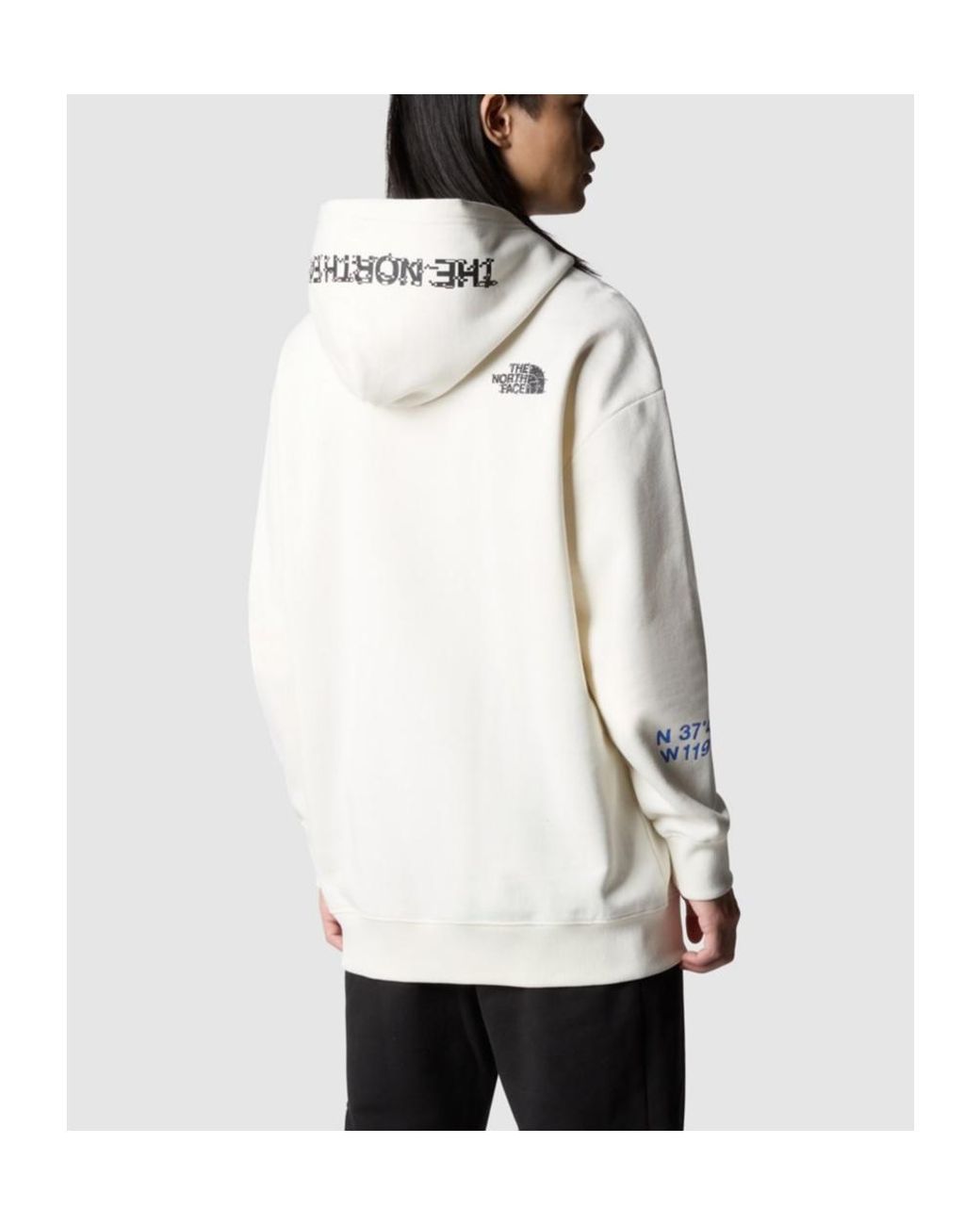 The North Face Gray Nse Graphic Hoodie for men