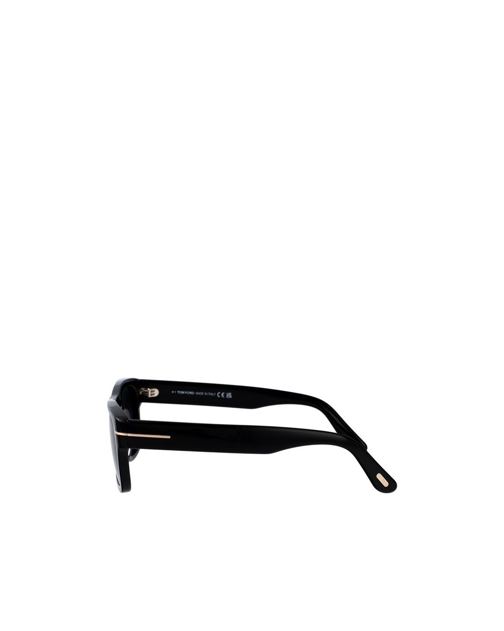 Tom Ford Black Eyewear Rectangular Frame Sunglasses