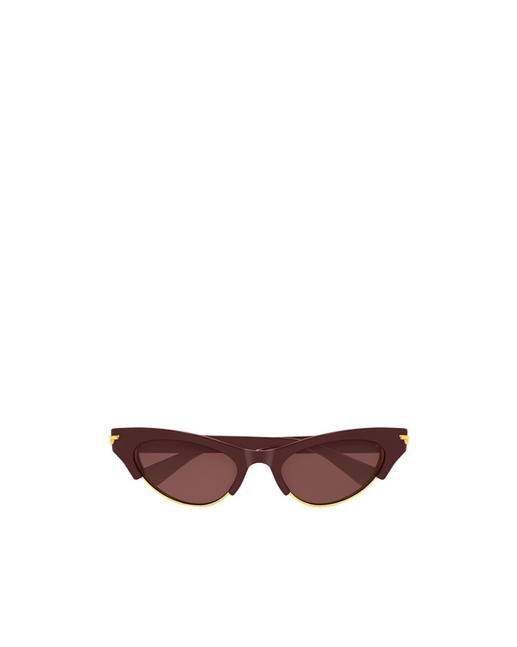 Bottega Veneta Brown Eyewear Cat Eye Frame Sunglasses