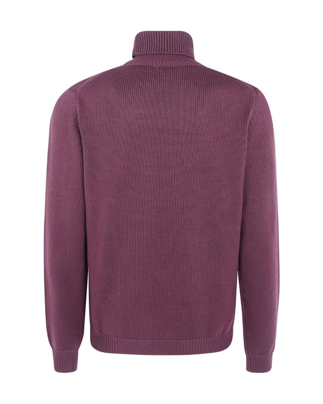 Nuur Purple Roll-Neck Sweater for men