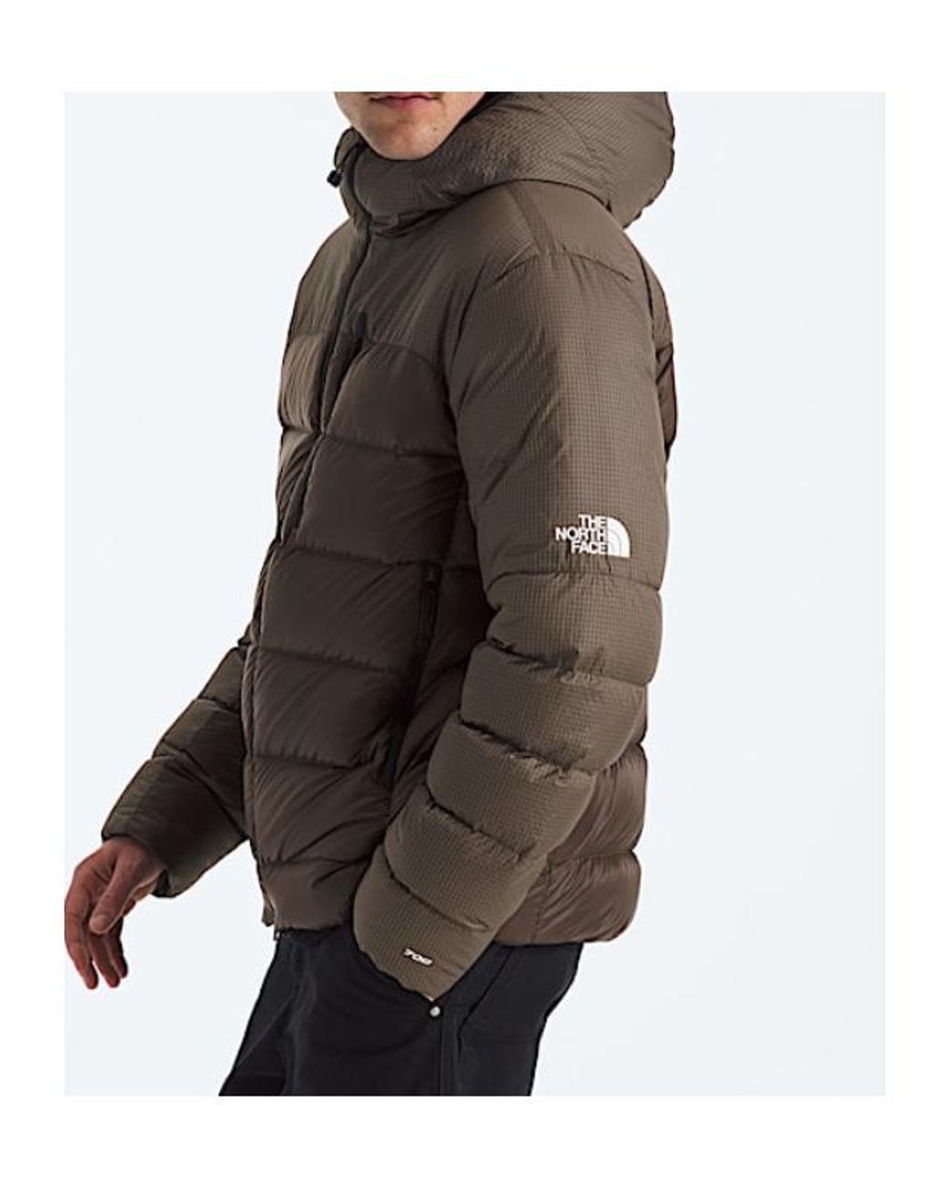 The North Face Brown ザノースフェイス Tnf Hke カリックス ダウン フーデッド ジャケット for men