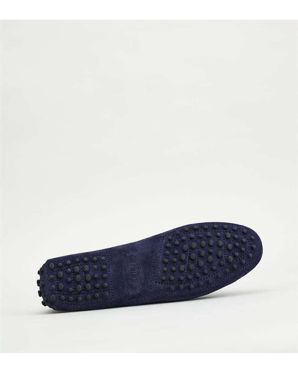 Tod's Blue Logo Love Shoes