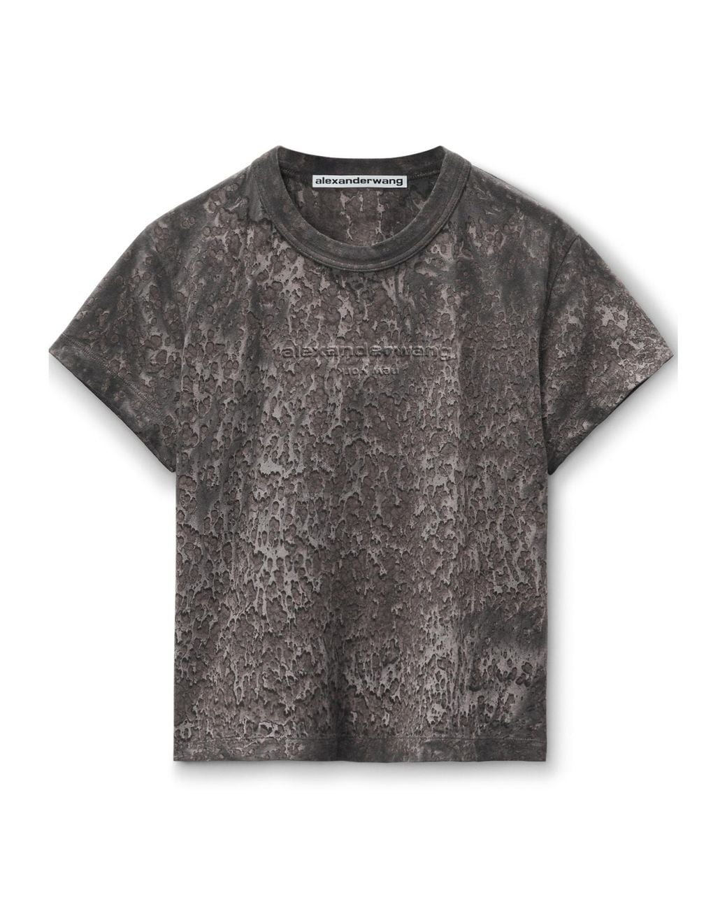 Alexander Wang Gray Splatter-Wash Crewneck T-Shirt