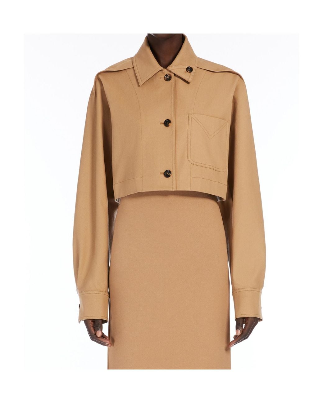 Max Mara Natural Smalto Button-Up Cropped Jacket