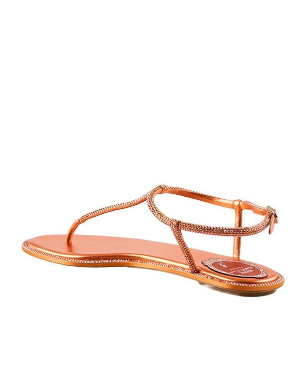 Rene Caovilla Brown René Caovilla Diana Embellished Thong Sandals