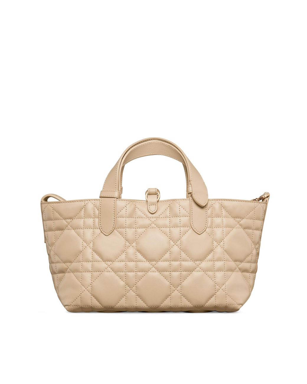 Dior Natural Small Toujours Bag