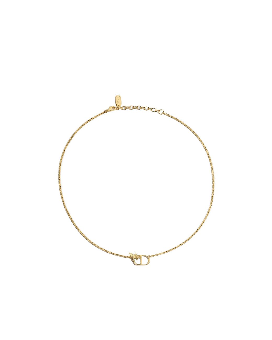 Dior Metallic Cd Garden Necklace