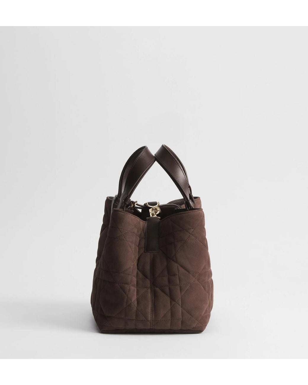 Dior Brown Medium Toujours Bag