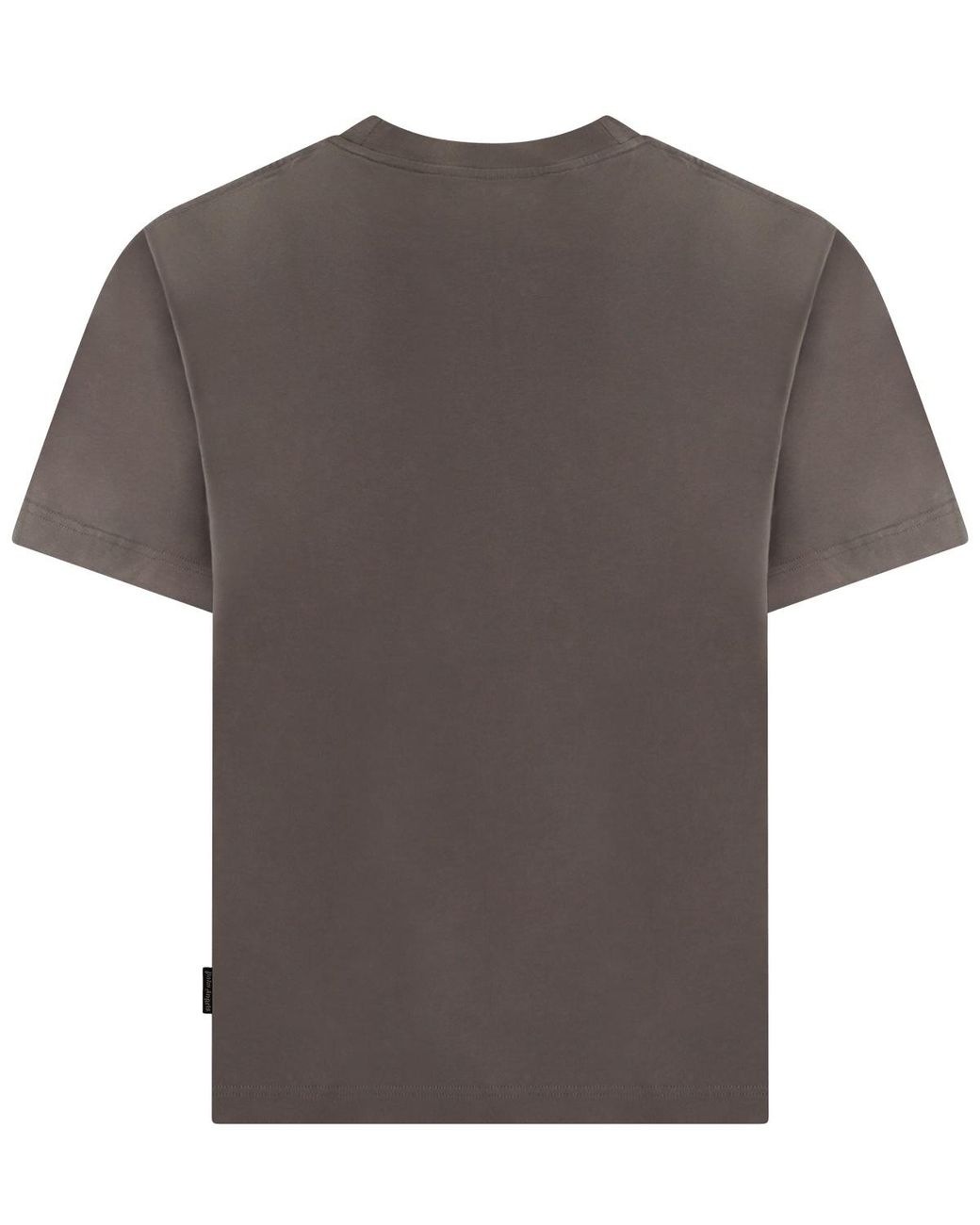 Palm Angels Gray Bear for men